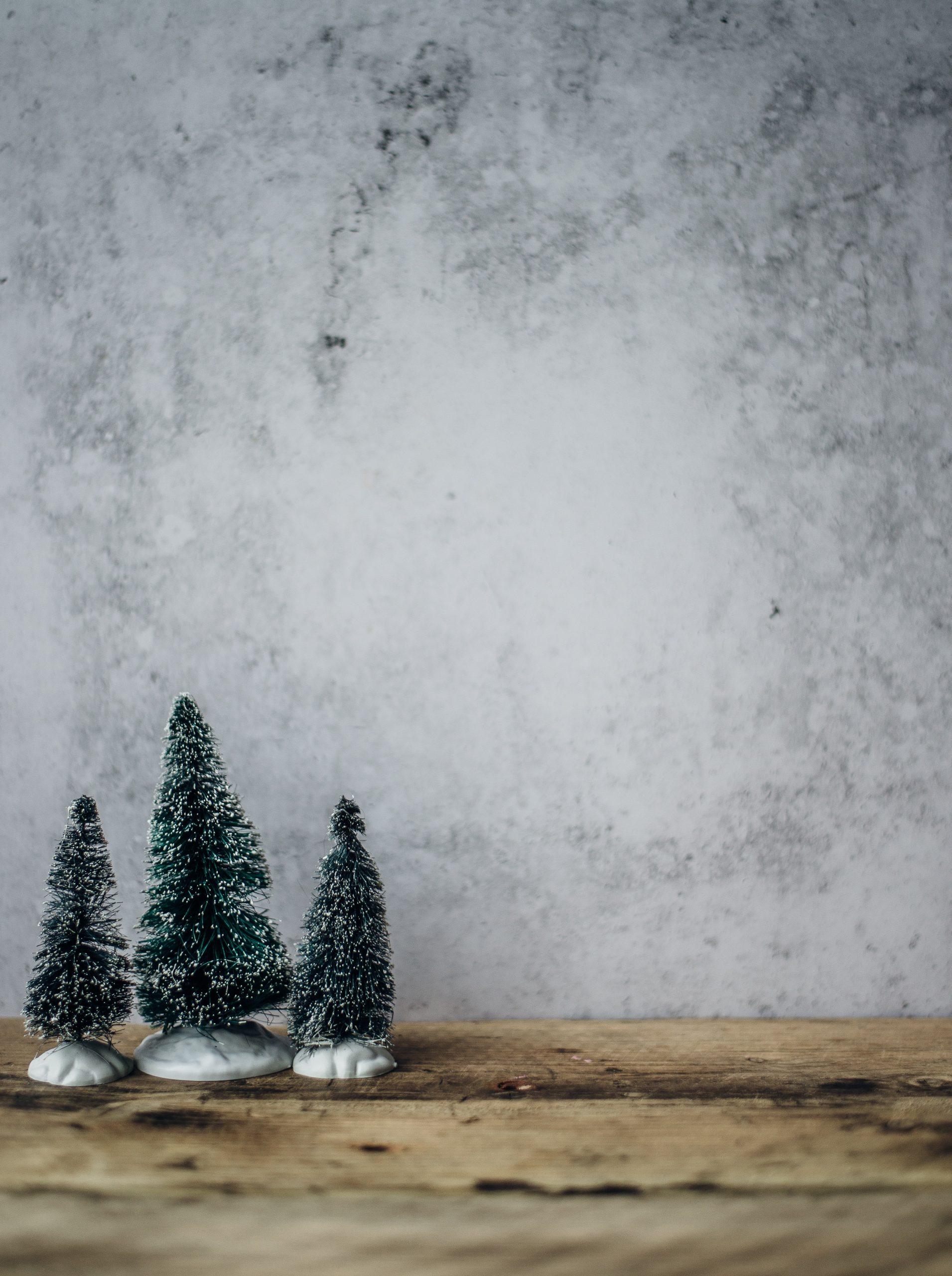 a gray washed wall and wood table, three ornamental pine trees standing together on the left hand side of the photo on the table.