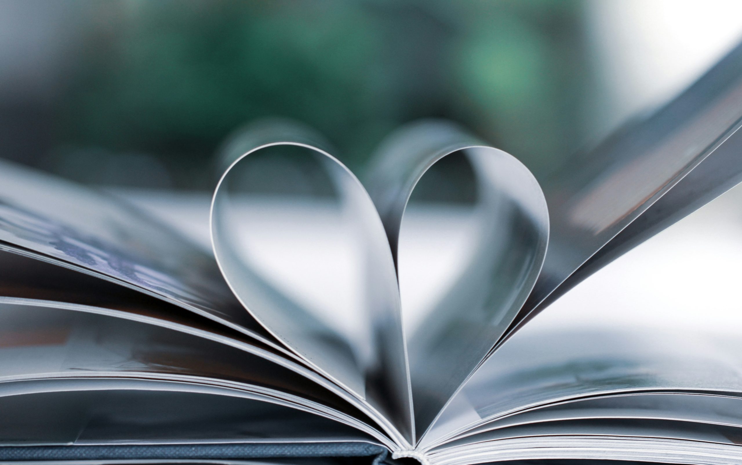 a book laid open with two pages curved inward to create a heart shape in the center